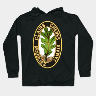 6th Engineer Bn - V1 Hoodie